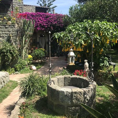 Casa Vacanze Il Pozzo Ischia Exterior photo