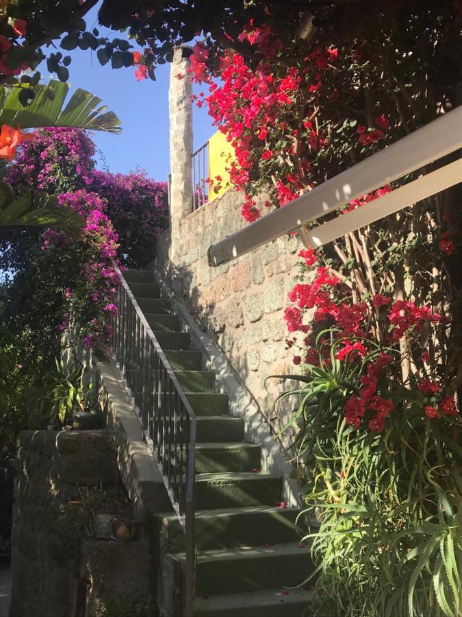 Casa Vacanze Il Pozzo Ischia Exterior photo