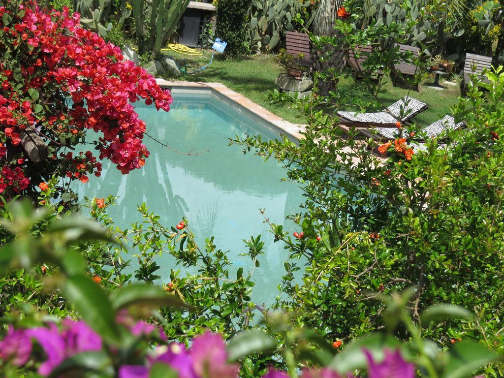 Casa Vacanze Il Pozzo Ischia Exterior photo