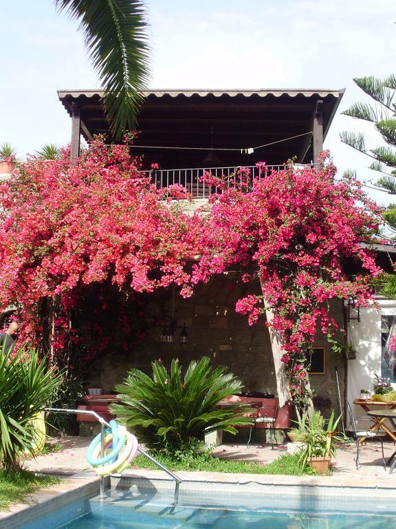 Casa Vacanze Il Pozzo Ischia Exterior photo