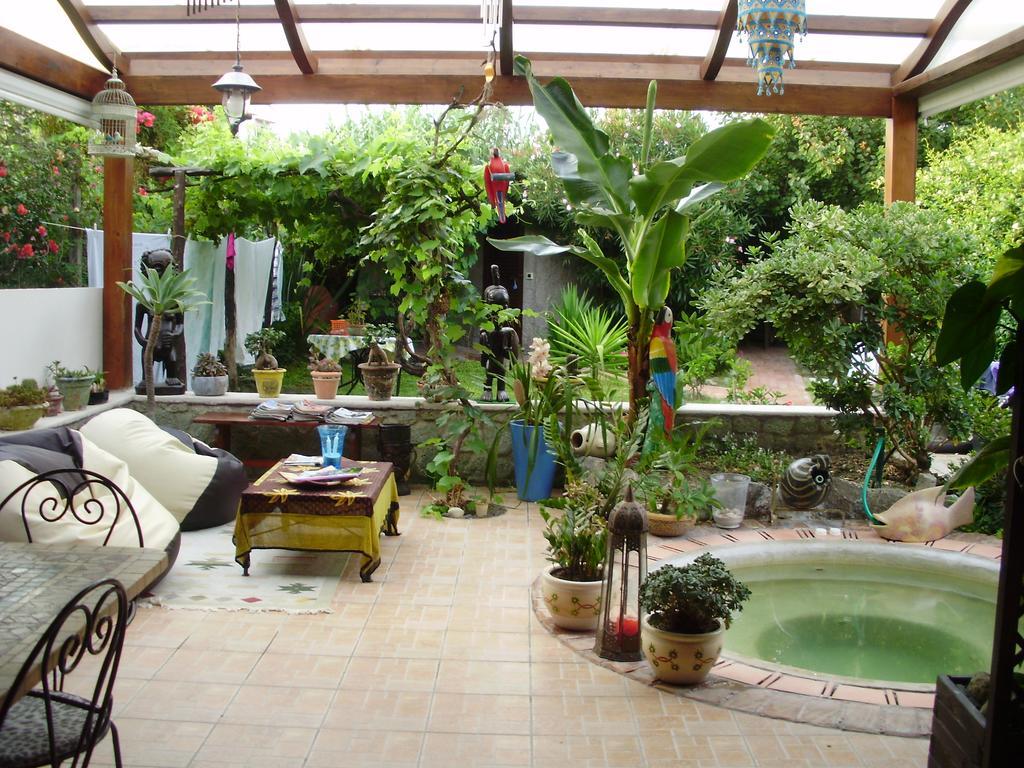 Casa Vacanze Il Pozzo Ischia Exterior photo