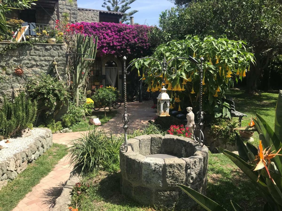 Casa Vacanze Il Pozzo Ischia Exterior photo