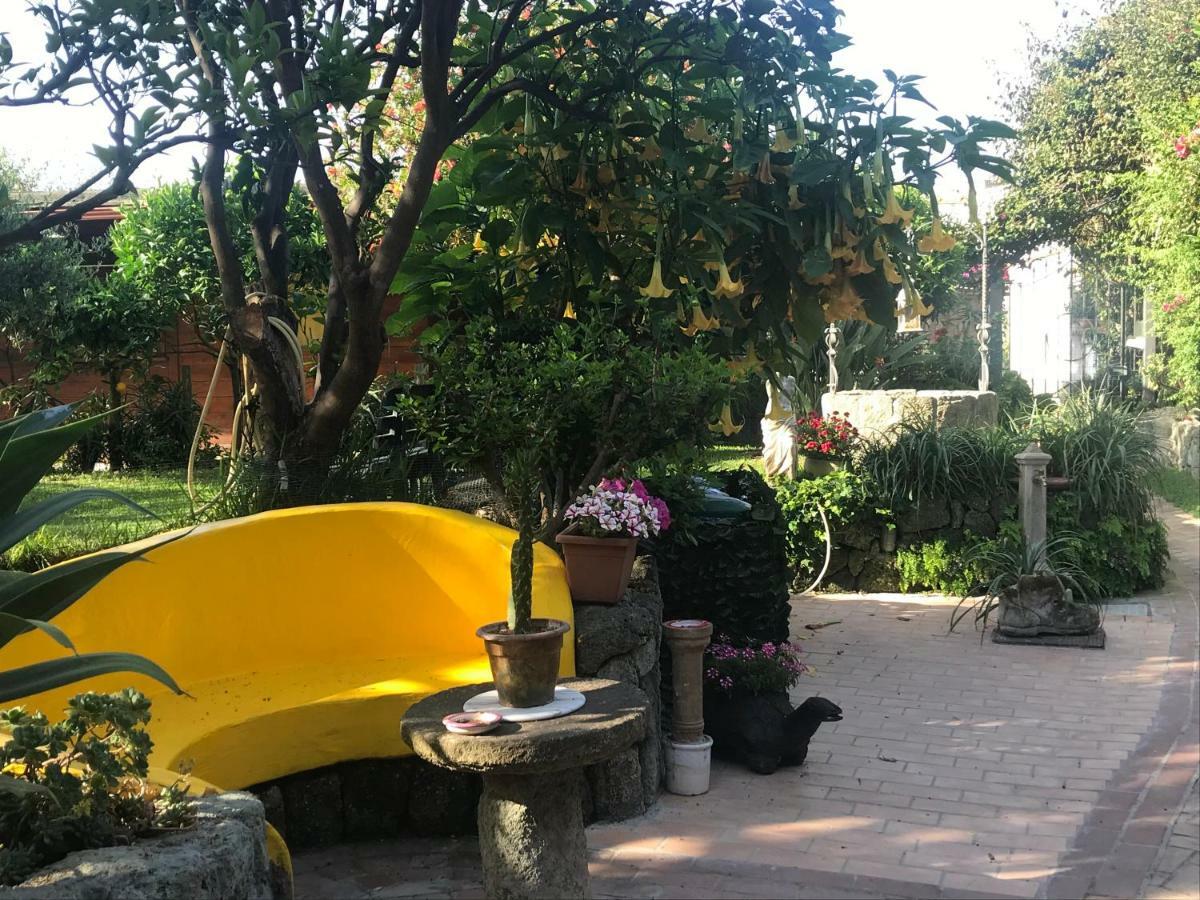 Casa Vacanze Il Pozzo Ischia Exterior photo